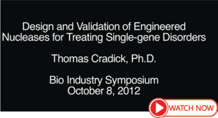 Design And Validation Of Engineered Nucleases for Treating Single-gene Disorder